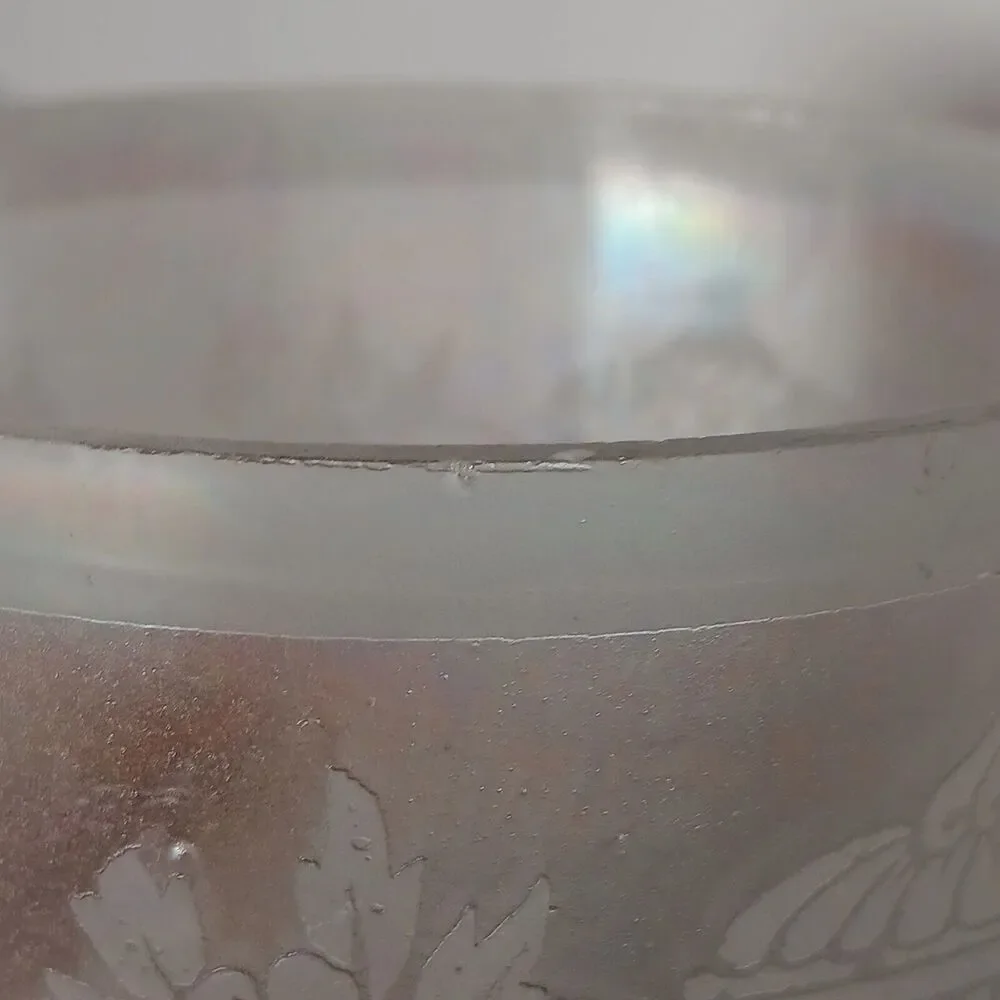 Vintage Glass Lamp Shade Frosted Iridescence Etched Victorian 5.5